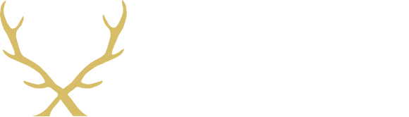 Sarto